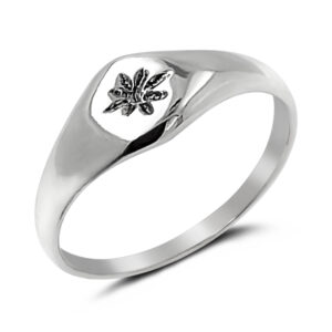 Star Baby Signet Silver Ring