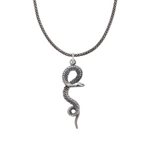 Snake Charm and Chain Necklace