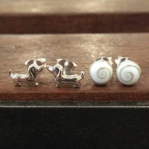 Small Round Shiva Shell Swirl Silver Earring Studs