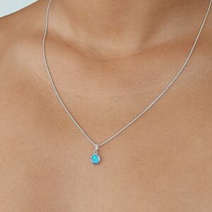 Abalone Shell Disc Charm Silver Pendant Necklace