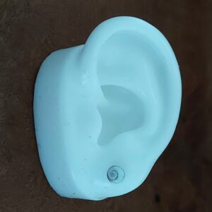 A Small Round Shiva Shell Swirl Silver Earring Stud is attached to a brown surface.