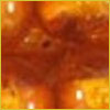 Close-up of a golden-brown surface with a glossy texture, possibly a baked or caramelized food item.