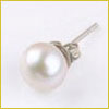 A single white pearl stud earring with a silver backing shown against a plain white background.