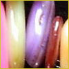 A close-up of colorful, glossy oval shapes in pink, yellow, purple, and red arranged vertically against a dark background.