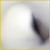 A blurry, abstract image with a white area on the left and a darker, shadowy area on the right.